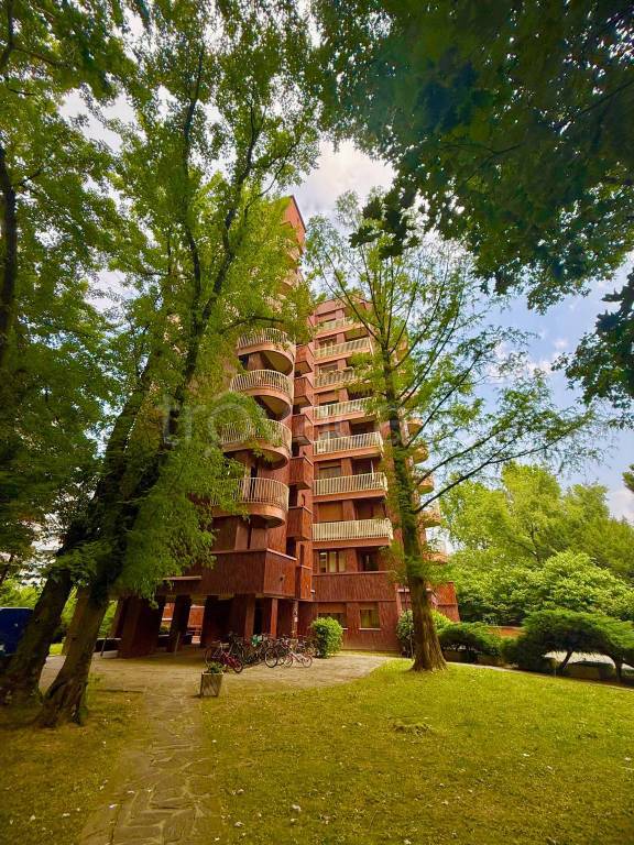 immagine annuncio 7 di 8