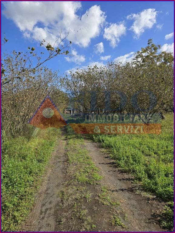 immagine annuncio 4 di 11