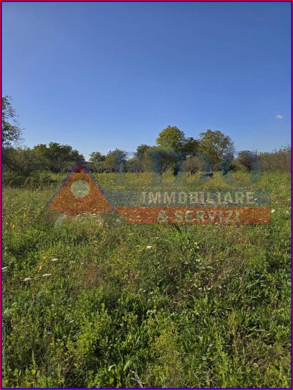 immagine annuncio 6 di 11