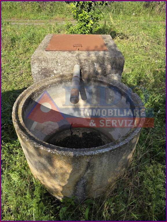 immagine annuncio 7 di 11