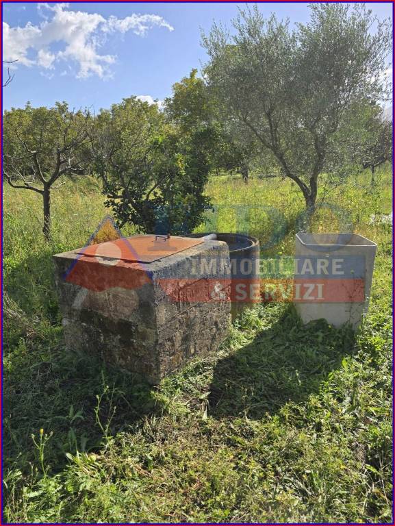 immagine annuncio 8 di 11