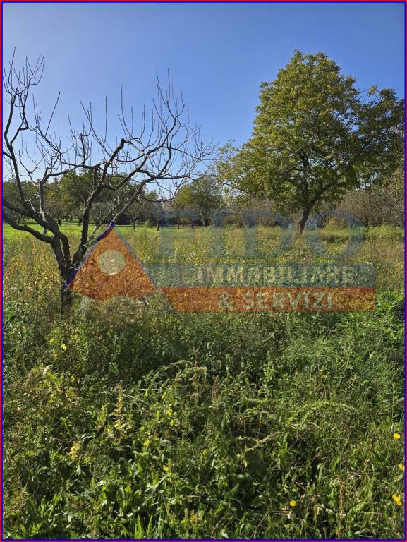 immagine annuncio 10 di 11