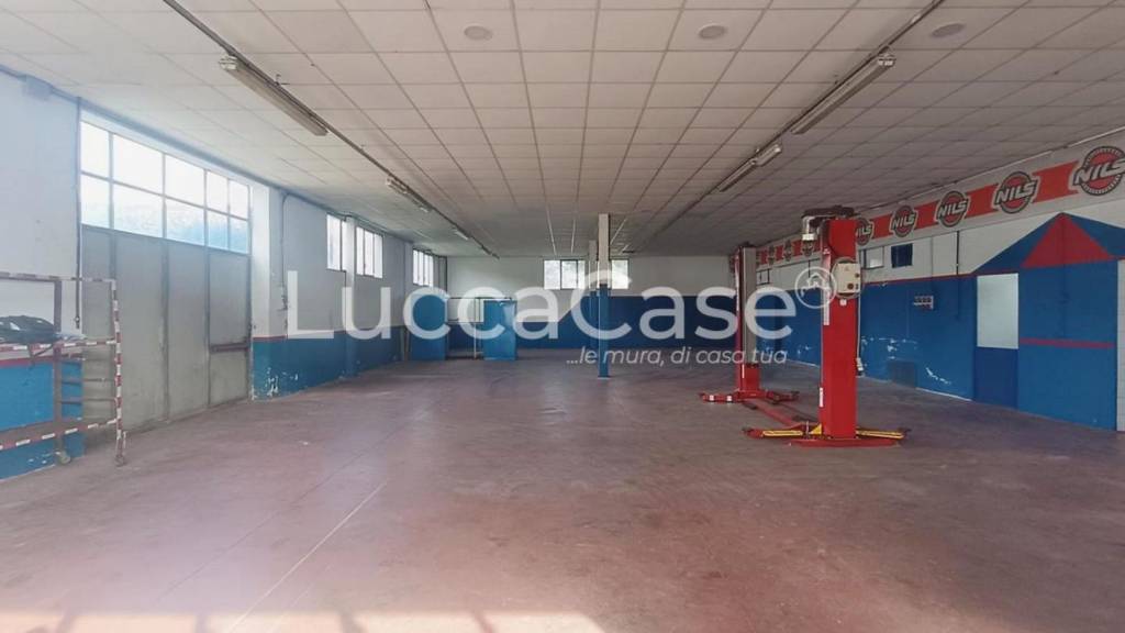 immagine annuncio 1 di 6