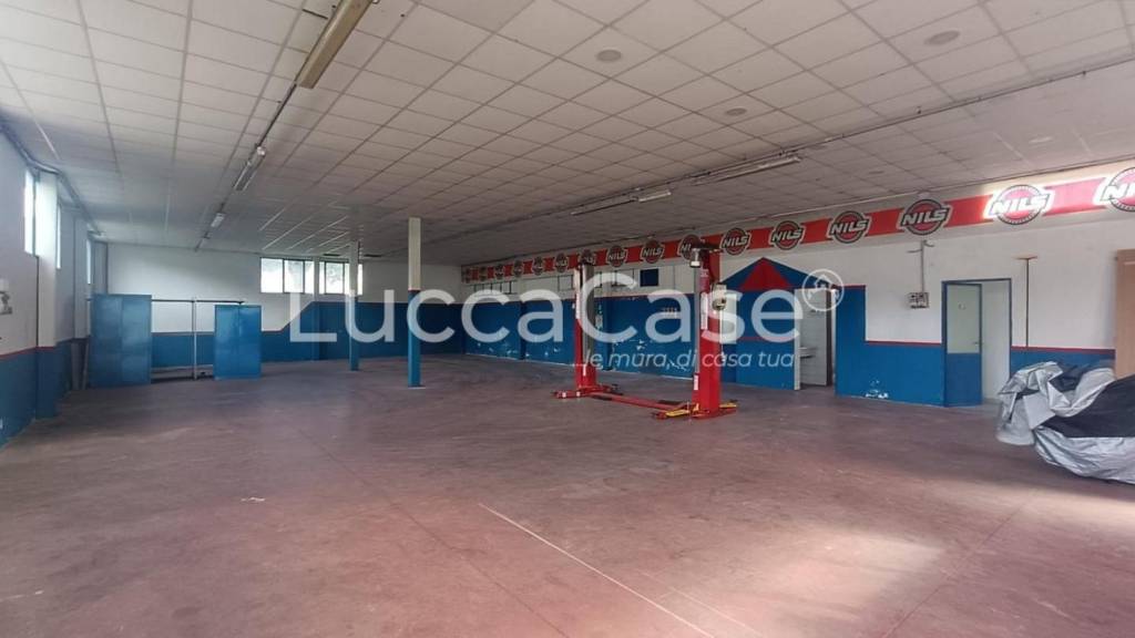 immagine annuncio 2 di 6