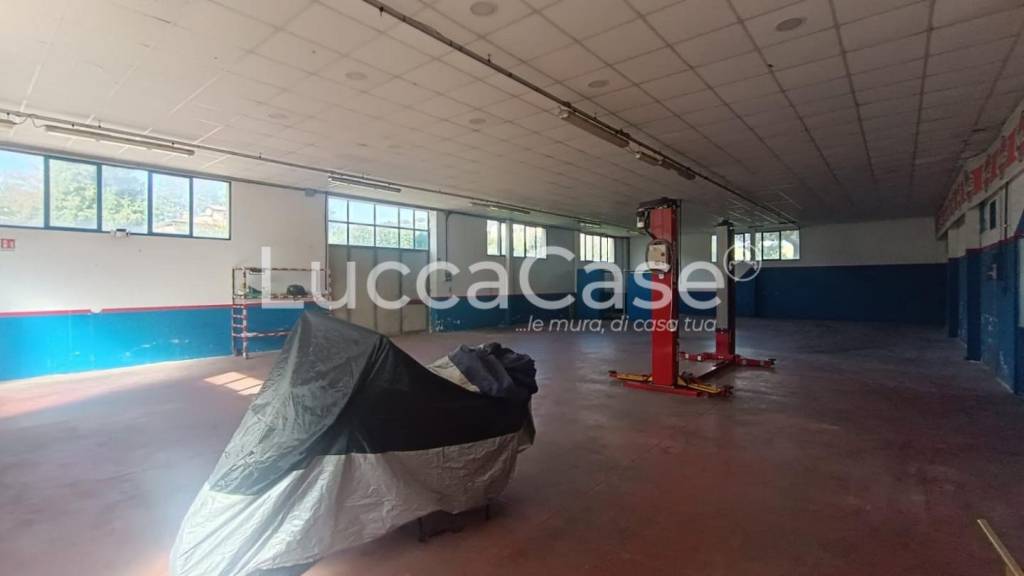 immagine annuncio 3 di 6