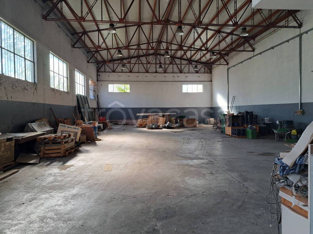 immagine annuncio 1 di 14