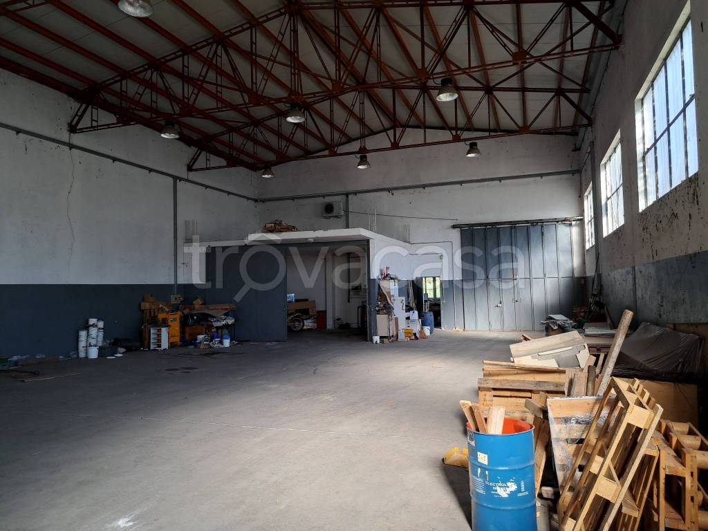 immagine annuncio 2 di 14