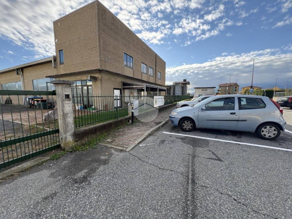 immagine annuncio 1 di 12