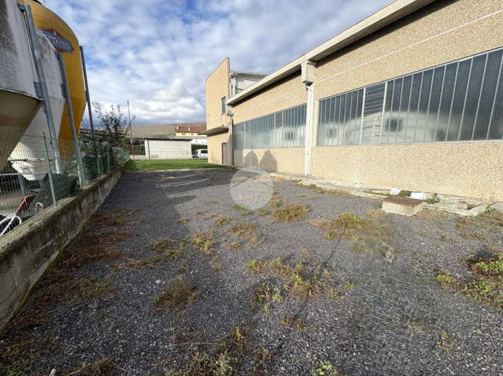 immagine annuncio 2 di 12