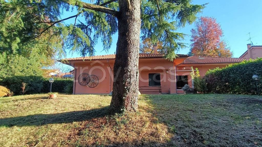 immagine annuncio 10 di 15