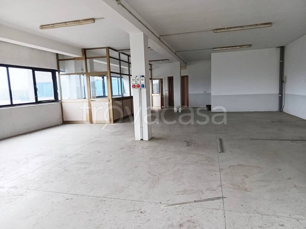 immagine annuncio 4 di 8