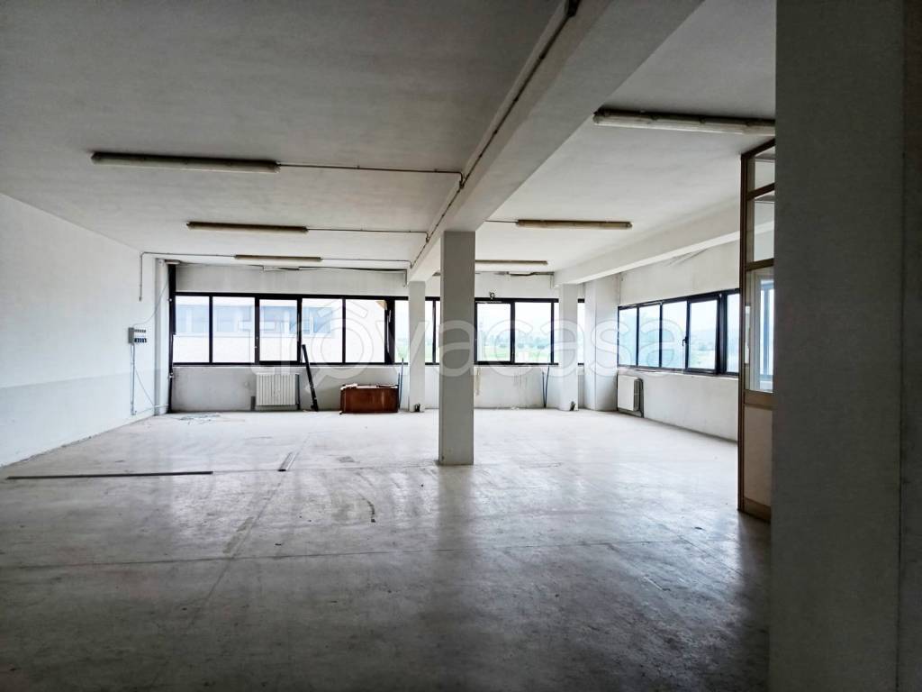 immagine annuncio 6 di 8