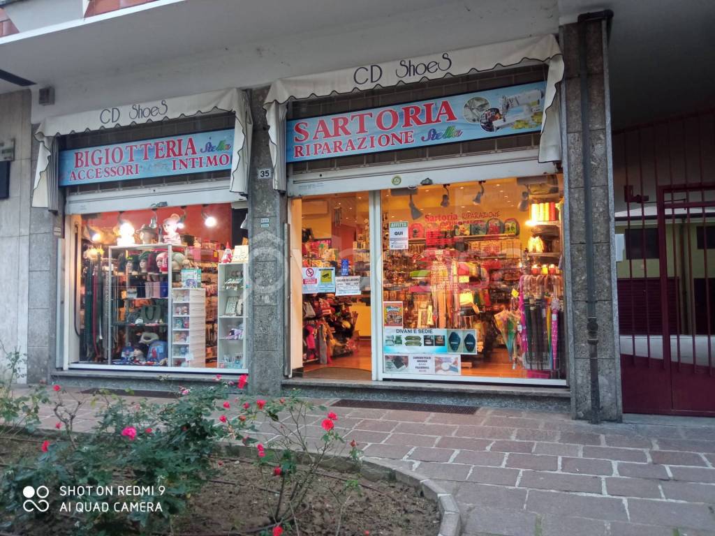 immagine annuncio 2 di 10