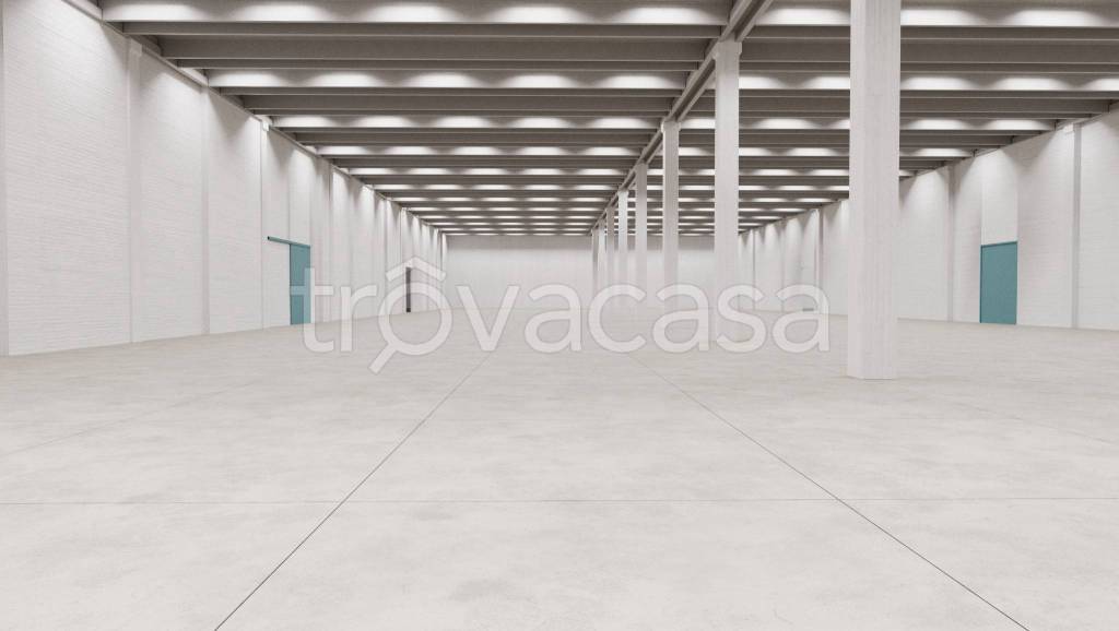 immagine annuncio 5 di 11