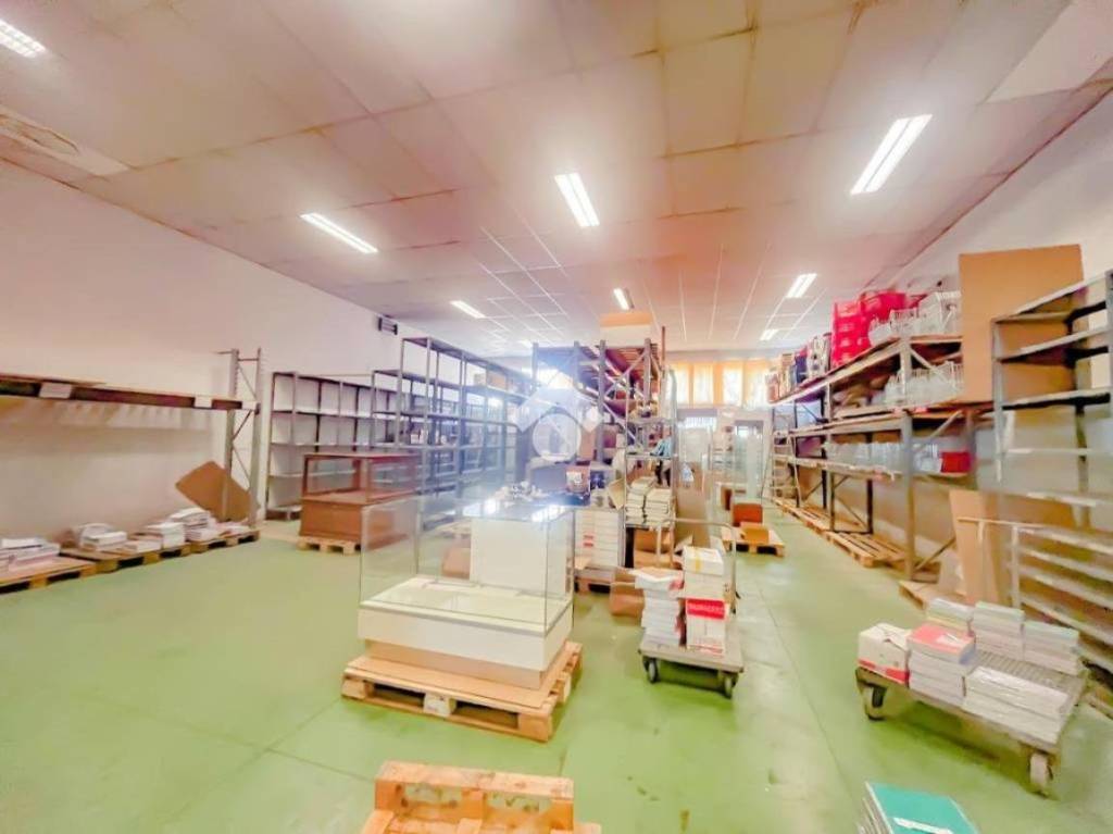 immagine annuncio 8 di 15