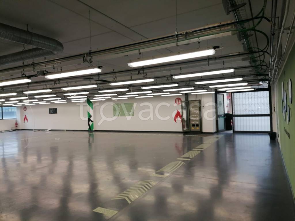 immagine annuncio 2 di 9