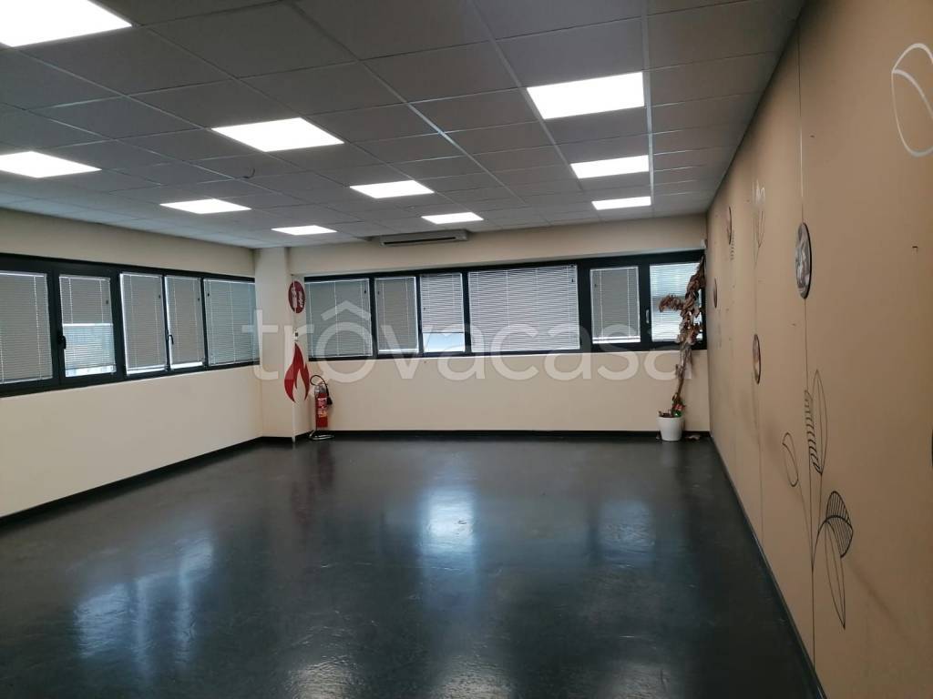 immagine annuncio 3 di 9