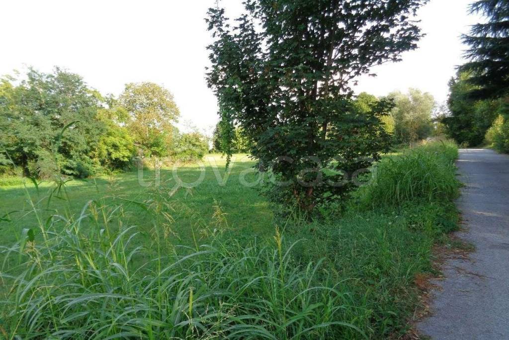 immagine annuncio 3 di 8