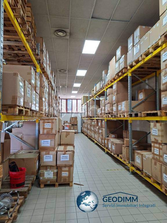 immagine annuncio 5 di 15