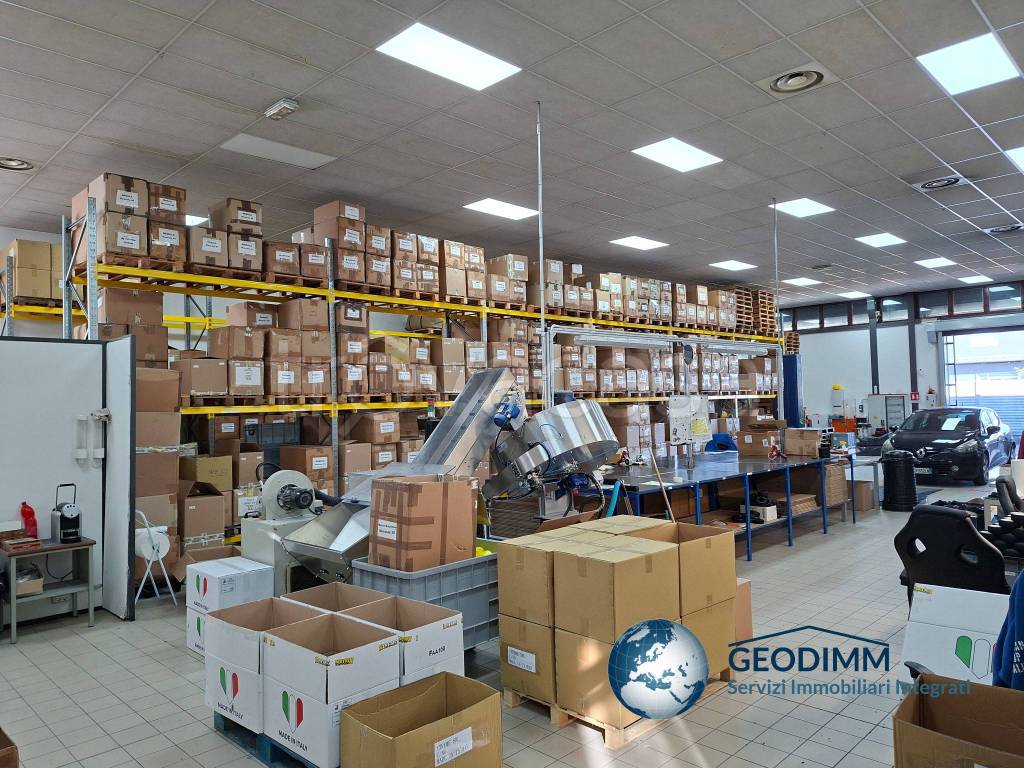 immagine annuncio 9 di 15