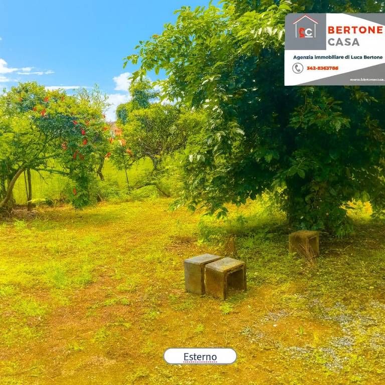 immagine annuncio 2 di 14