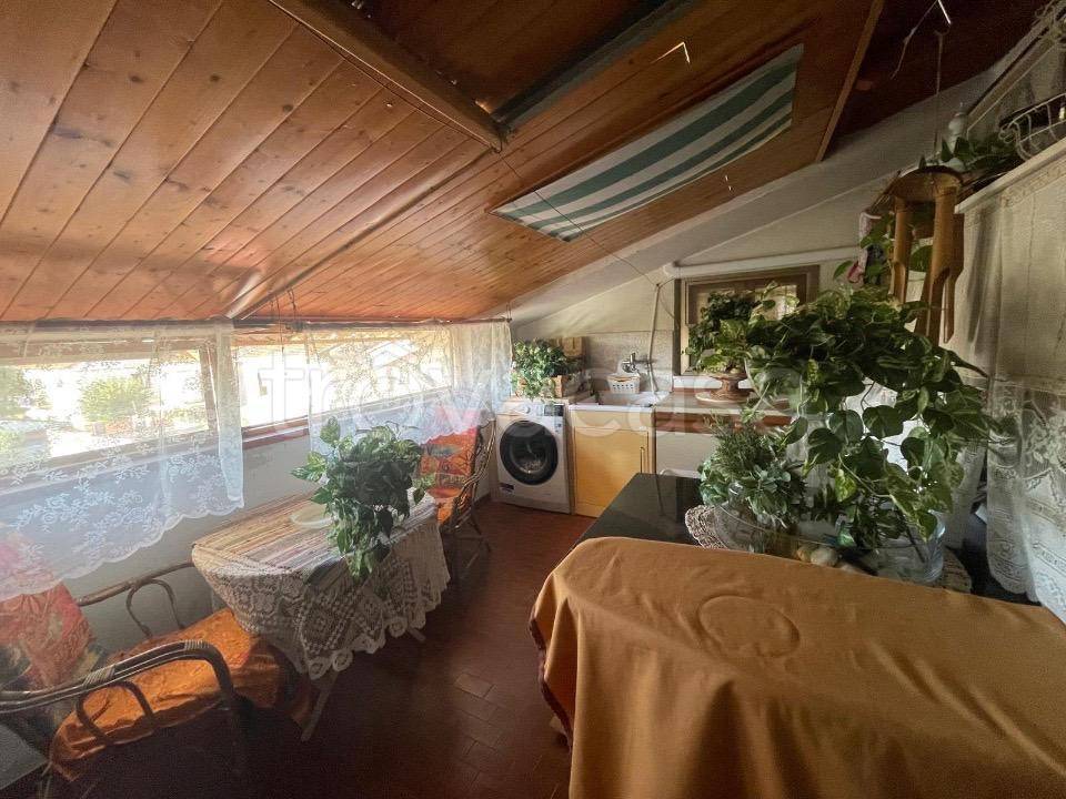 immagine annuncio 8 di 13