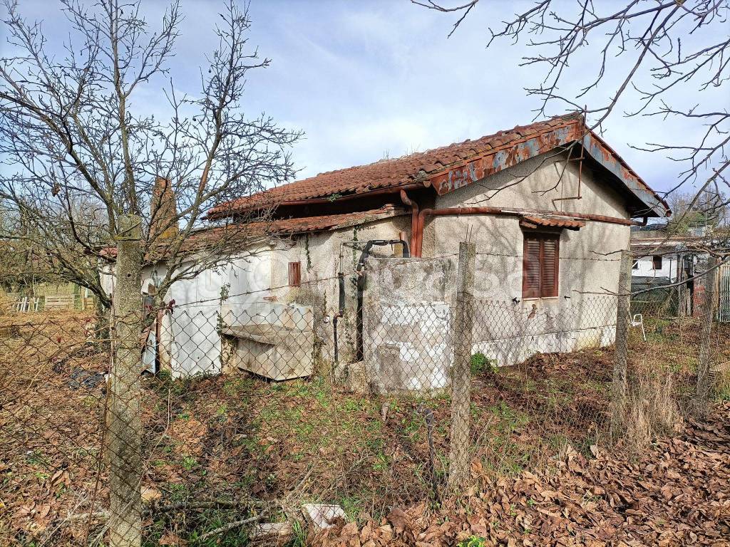 immagine annuncio 11 di 14