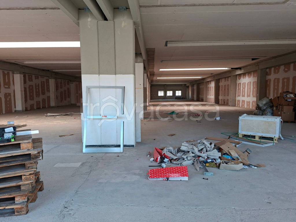 immagine annuncio 9 di 13