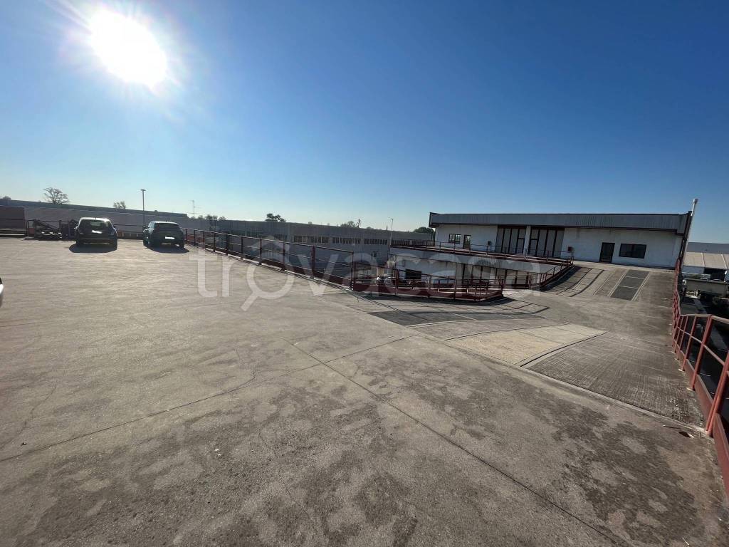 immagine annuncio 2 di 11