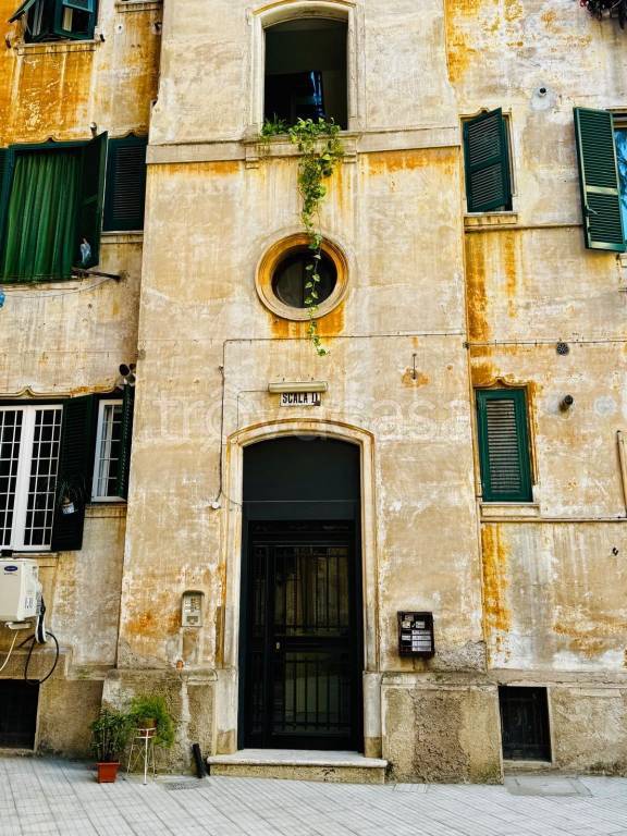 immagine annuncio 4 di 13