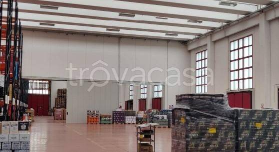 immagine annuncio 2 di 7