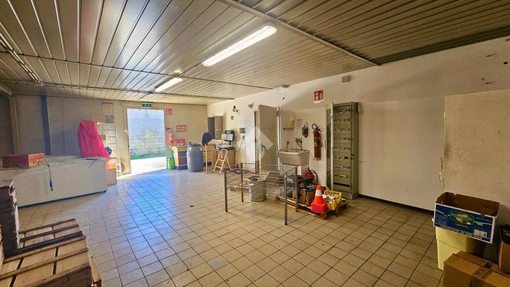 immagine annuncio 6 di 13