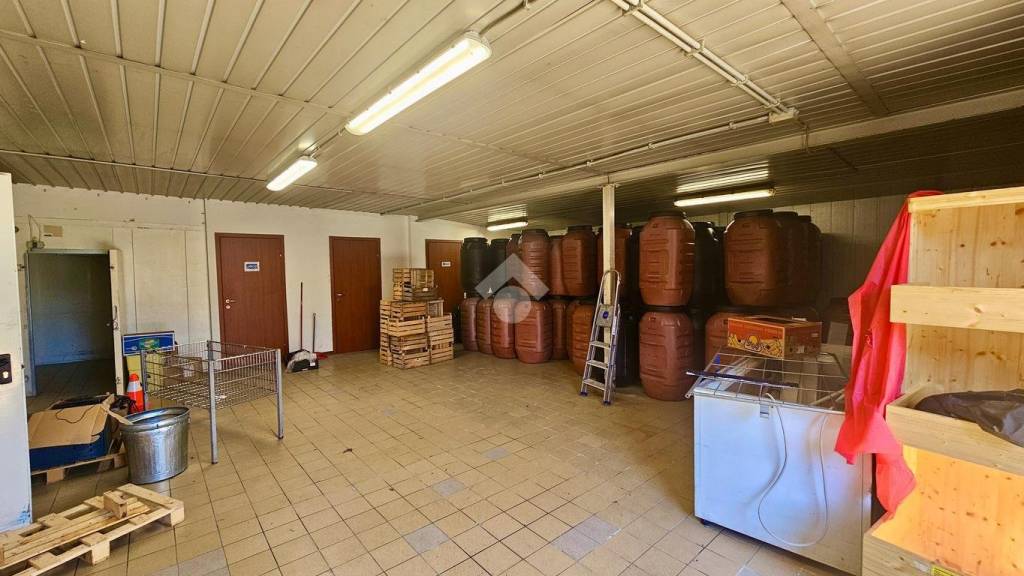 immagine annuncio 7 di 13