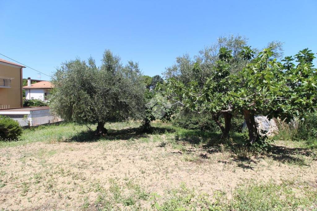 immagine annuncio 3 di 14