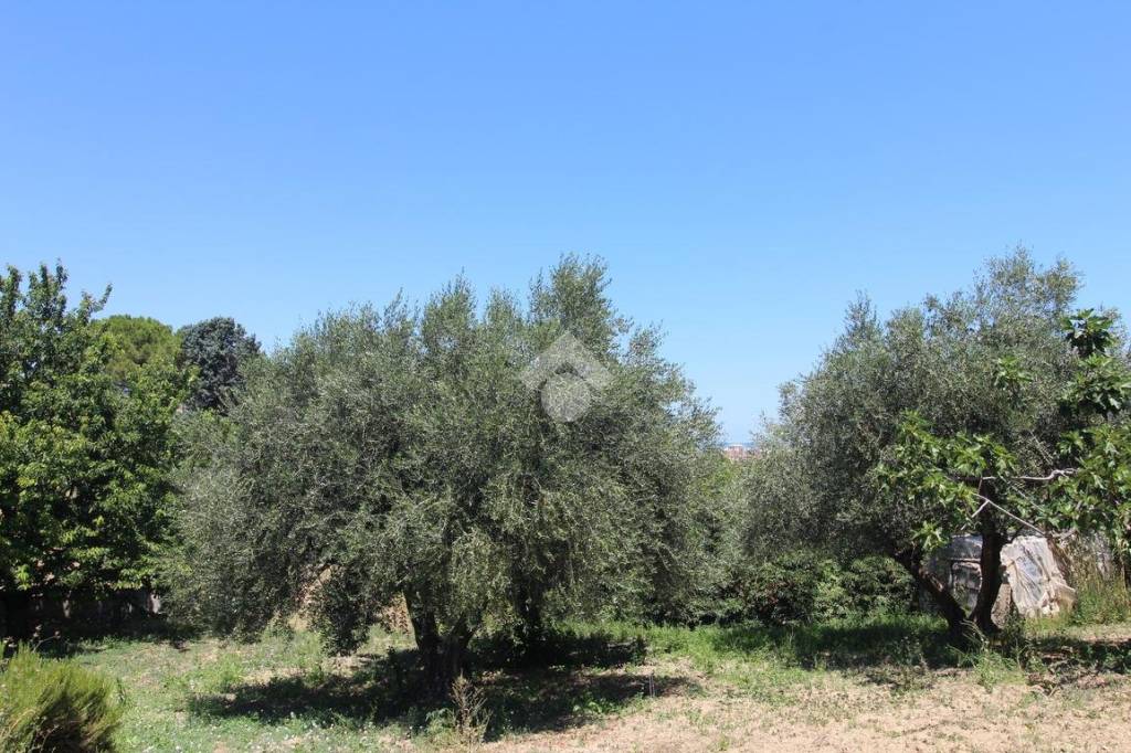 immagine annuncio 5 di 14