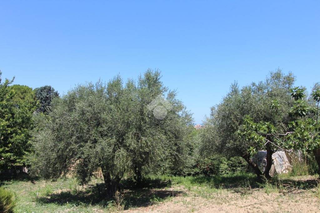 immagine annuncio 6 di 14