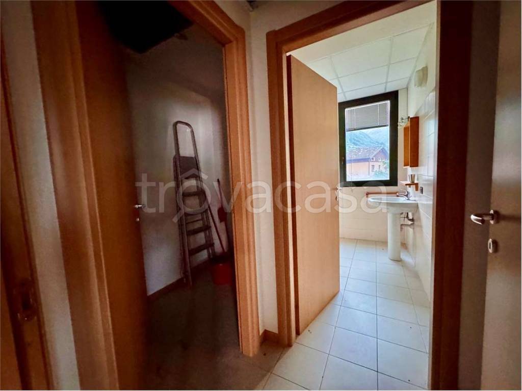 immagine annuncio 7 di 14