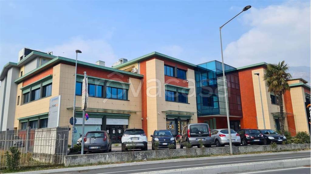 immagine annuncio 11 di 14