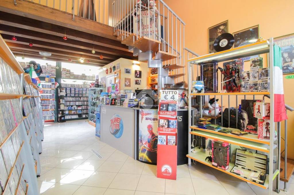 immagine annuncio 6 di 14