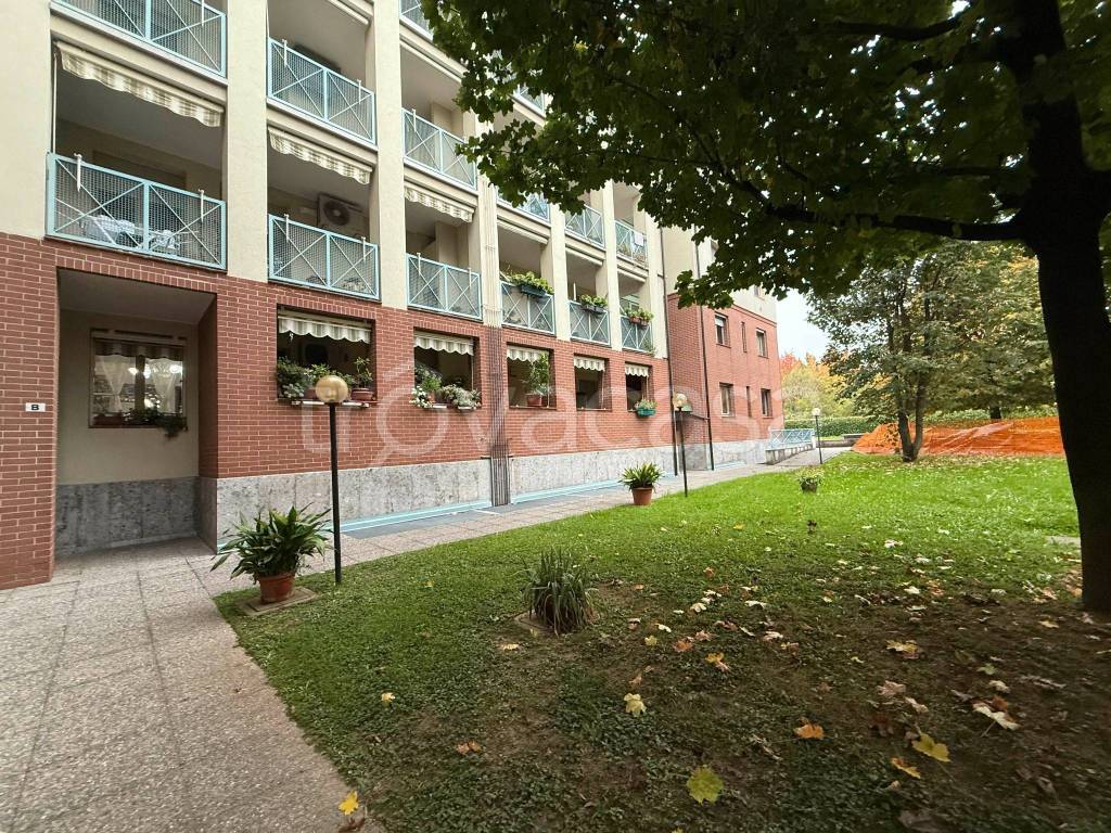 immagine annuncio 12 di 15