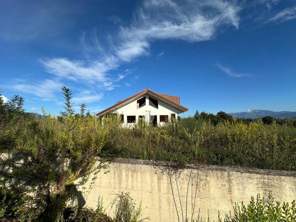 immagine annuncio 7 di 9