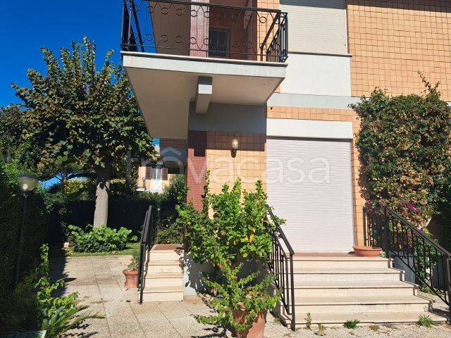 immagine annuncio 3 di 13