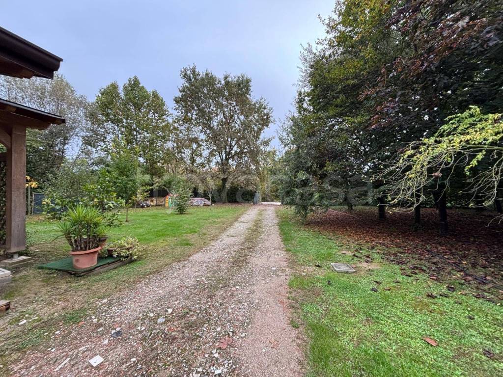 immagine annuncio 4 di 6