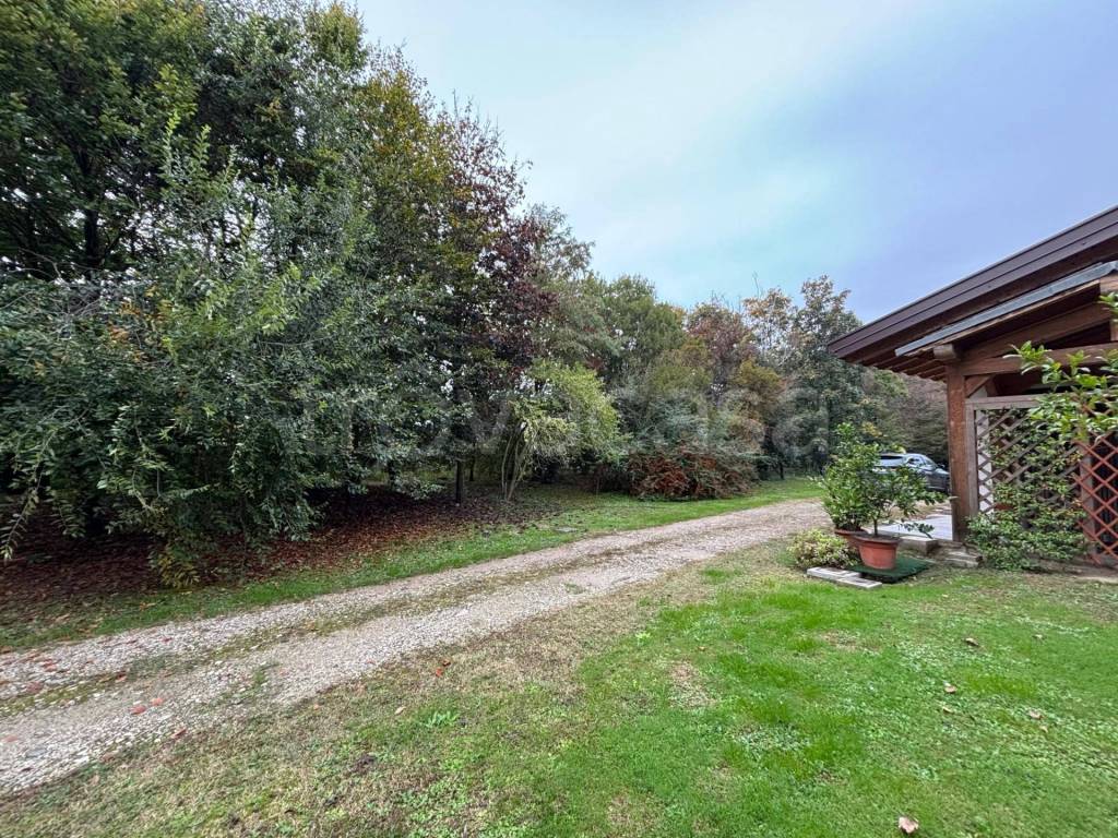 immagine annuncio 5 di 6