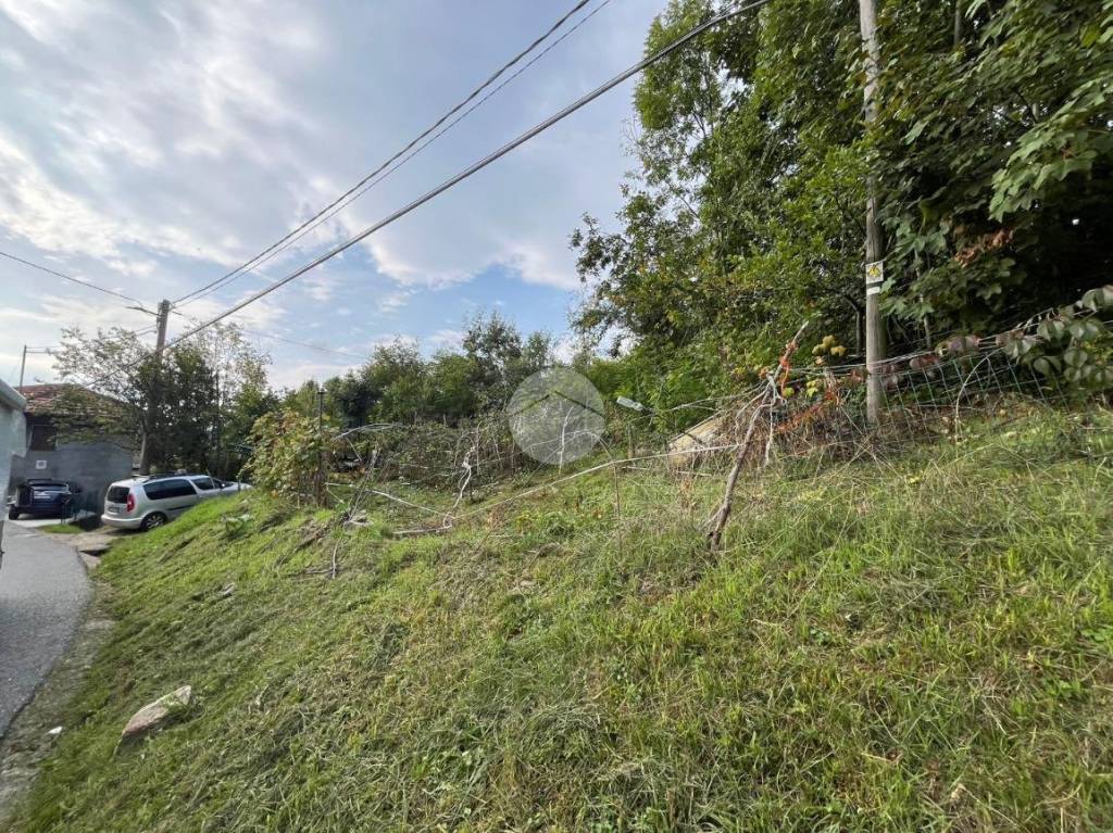 immagine annuncio 12 di 13