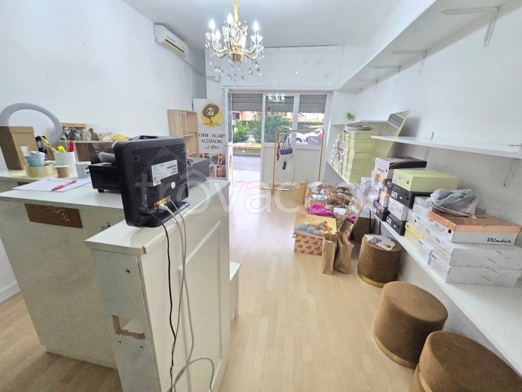 immagine annuncio 2 di 12