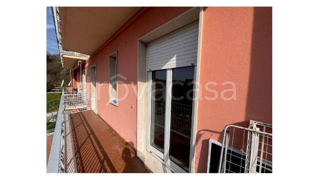 immagine annuncio 1 di 8