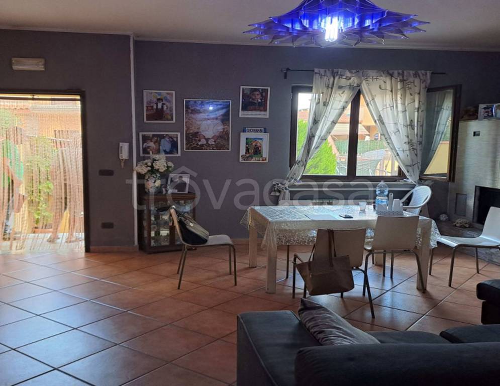 immagine annuncio 6 di 15