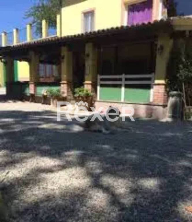 immagine annuncio 5 di 11