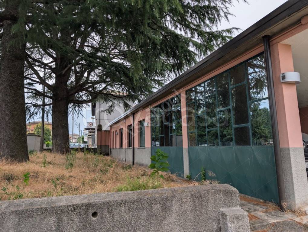 immagine annuncio 3 di 15